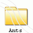 Ants