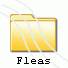 Fleas