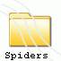 Spiders