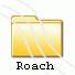 Roaches
